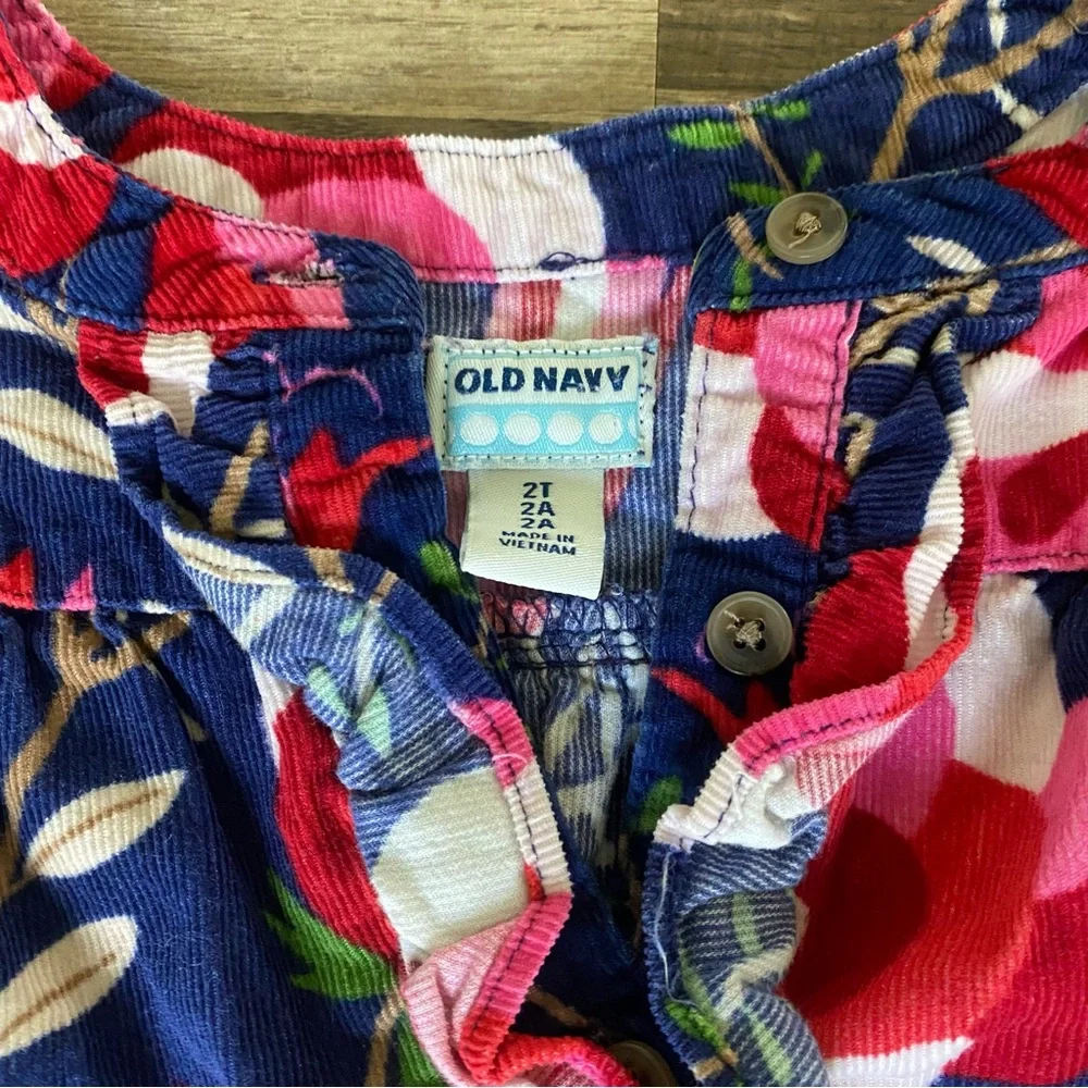Kids Old Navy Blue and Red Floral Dress size 2 T